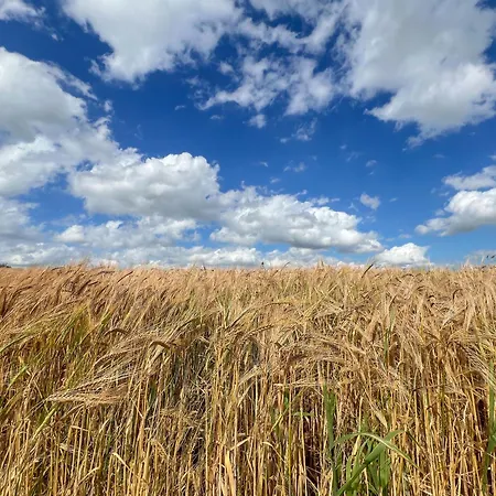 Foxes Retreat Dom wakacyjny